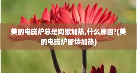 美的电磁炉总是间歇加热,什么原因?(美的电磁炉断续加热)