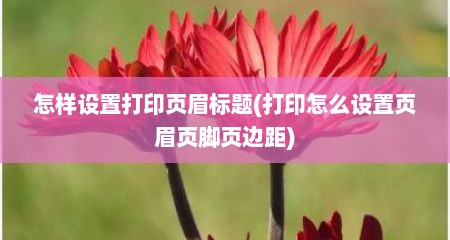 怎样设置打印页眉标题(打印怎么设置页眉页脚页边距)