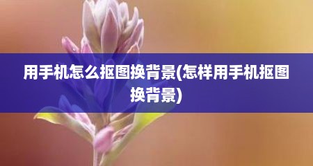 用手机怎么抠图换背景(怎样用手机抠图换背景)
