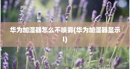 华为加湿器怎么不喷雾(华为加湿器显示l)