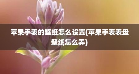 苹果手表的壁纸怎么设置(苹果手表表盘壁纸怎么弄)