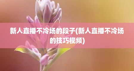新人直播不冷场的段子(新人直播不冷场的技巧视频)