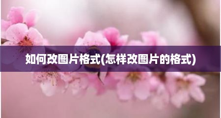如何改图片格式(怎样改图片的格式)
