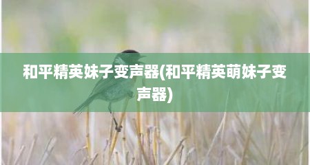 和平精英妹子变声器(和平精英萌妹子变声器)