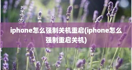 iphone怎么强制关机重启(iphone怎么强制重启关机)