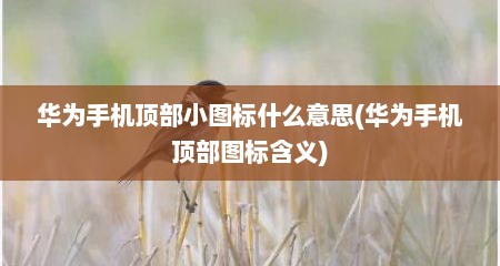 华为手机顶部小图标什么意思(华为手机顶部图标含义)