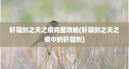 轩辕剑之天之痕完整攻略(轩辕剑之天之痕中的轩辕剑)