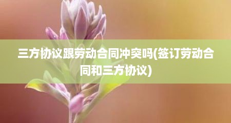三方协议跟劳动合同冲突吗(签订劳动合同和三方协议)