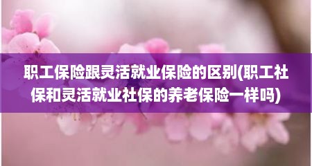 职工保险跟灵活就业保险的区别(职工社保和灵活就业社保的养老保险一样吗)