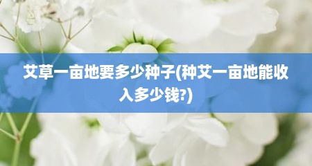 艾草一亩地要多少种子(种艾一亩地能收入多少钱?)