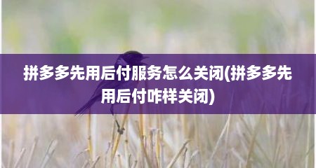 拼多多先用后付服务怎么关闭(拼多多先用后付咋样关闭)