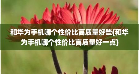 和华为手机哪个性价比高质量好些(和华为手机哪个性价比高质量好一点)