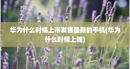 华为什么时候上市发售最新的手机(华为什么时候上线)