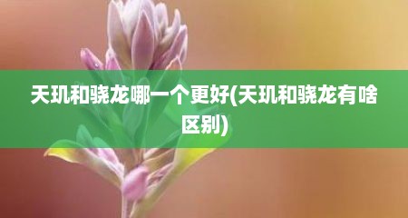 天玑和骁龙哪一个更好(天玑和骁龙有啥区别)