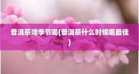 普洱茶啥季节喝(普洱茶什么时候喝最佳)