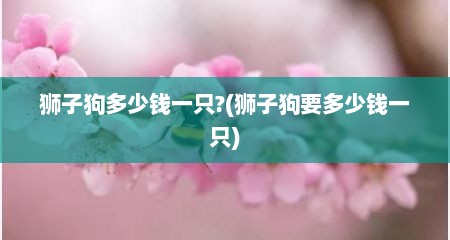 狮子狗多少钱一只?(狮子狗要多少钱一只)
