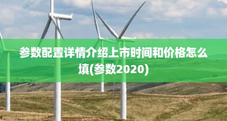 参数配置详情介绍上市时间和价格怎么填(参数2020)