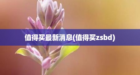 值得买最新消息(值得买zsbd)