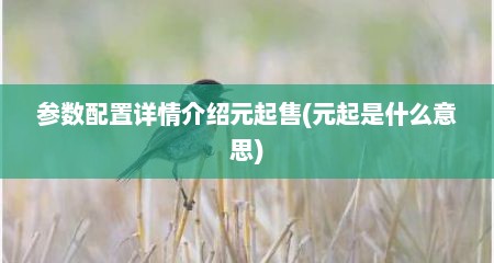 参数配置详情介绍元起售(元起是什么意思)