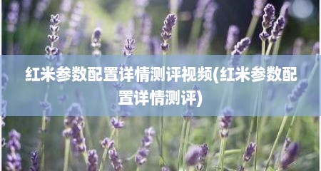 红米参数配置详情测评视频(红米参数配置详情测评)