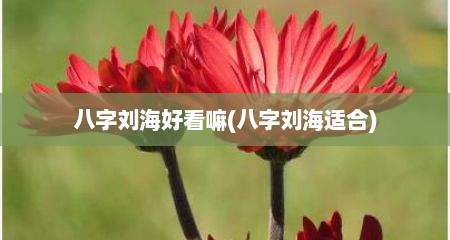 八字刘海好看嘛(八字刘海适合)