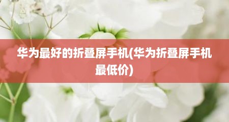 华为最好的折叠屏手机(华为折叠屏手机最低价)