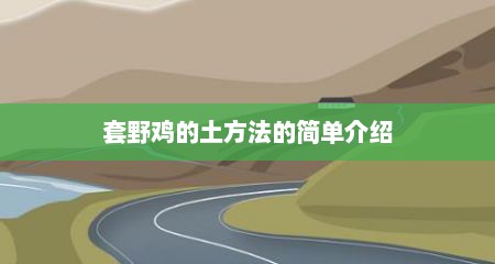 套野鸡的土方法的简单介绍