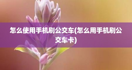 怎么使用手机刷公交车(怎么用手机刷公交车卡)