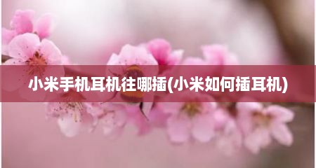 小米手机耳机往哪插(小米如何插耳机)