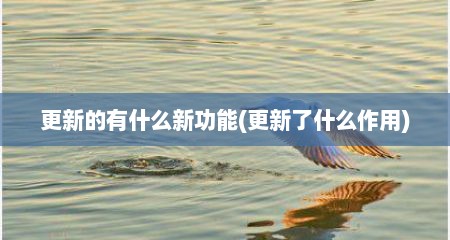 更新的有什么新功能(更新了什么作用)