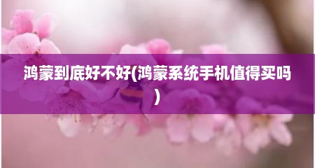 鸿蒙到底好不好(鸿蒙系统手机值得买吗)