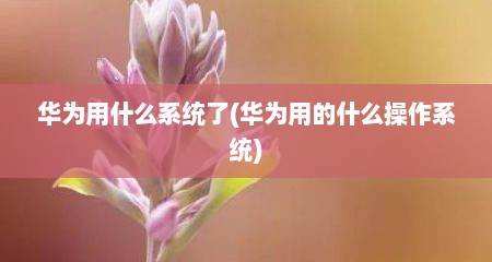 华为用什么系统了(华为用的什么操作系统)