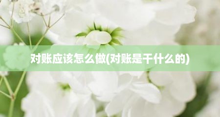对账应该怎么做(对账是干什么的)