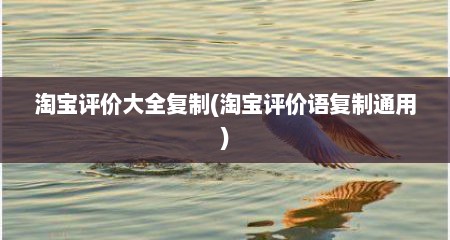 淘宝评价大全复制(淘宝评价语复制通用)