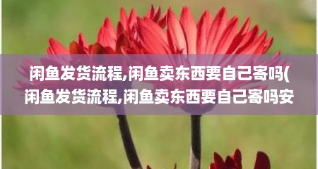闲鱼发货流程,闲鱼卖东西要自己寄吗(闲鱼发货流程,闲鱼卖东西要自己寄吗安全吗)