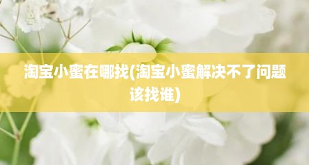 淘宝小蜜在哪找(淘宝小蜜解决不了问题该找谁)