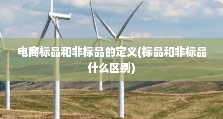 电商标品和非标品的定义(标品和非标品什么区别)