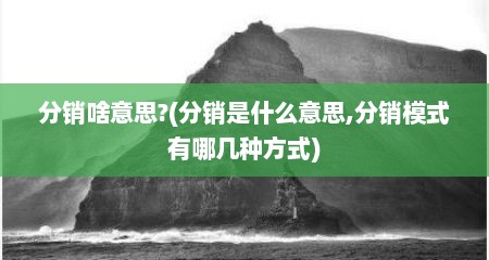 分销啥意思?(分销是什么意思,分销模式有哪几种方式)