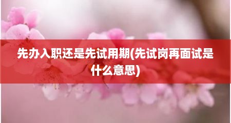 先办入职还是先试用期(先试岗再面试是什么意思)