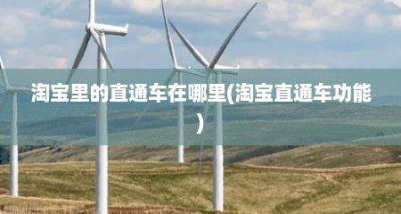 淘宝里的直通车在哪里(淘宝直通车功能)