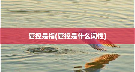 管控是指(管控是什么词性)
