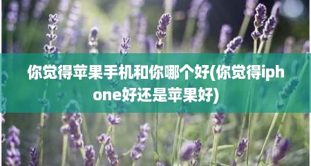 你觉得苹果手机和你哪个好(你觉得iphone好还是苹果好)