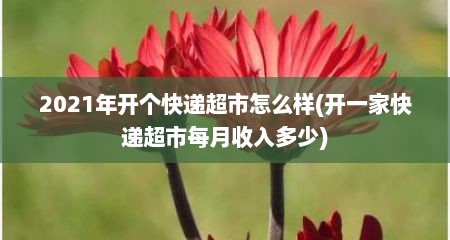 2021年开个快递超市怎么样(开一家快递超市每月收入多少)