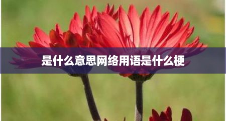 是什么意思网络用语是什么梗