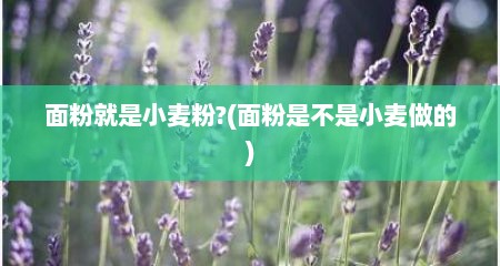 面粉就是小麦粉?(面粉是不是小麦做的)