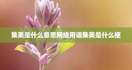 集美是什么意思网络用语集美是什么梗