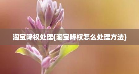 淘宝降权处理(淘宝降权怎么处理方法)