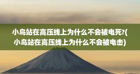 小鸟站在高压线上为什么不会被电死?(小鸟站在高压线上为什么不会被电击)