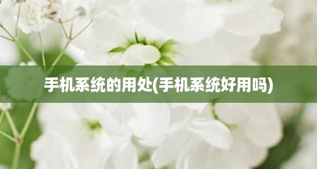 手机系统的用处(手机系统好用吗)