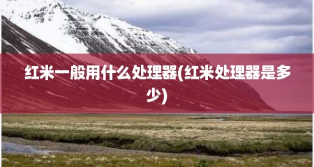 红米一般用什么处理器(红米处理器是多少)